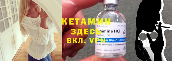 стаф Аркадак