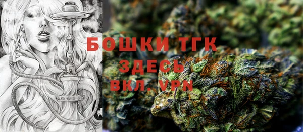 стаф Аркадак