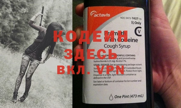 стаф Аркадак