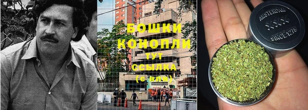 кокс Арсеньев