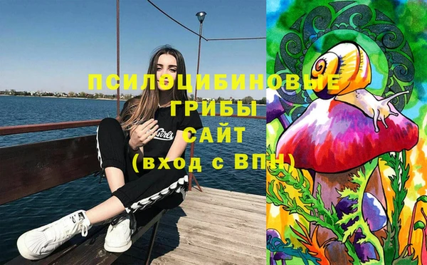 кокс Арсеньев