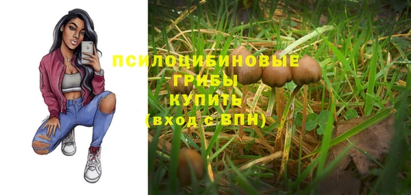 кокс Арсеньев