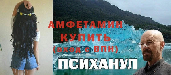 стаф Аркадак