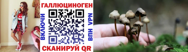 Псилоцибиновые грибы MAGIC MUSHROOMS  ОМГ ОМГ вход  Серафимович  где можно купить  